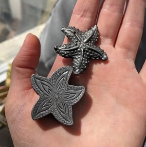 Starfish Pin With Box
